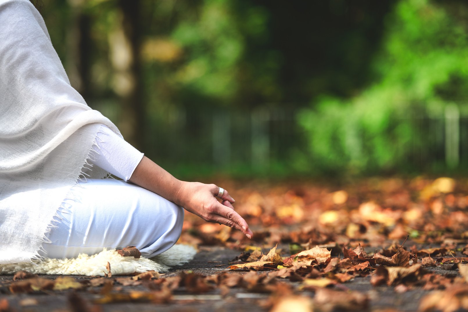 Person Meditating in a Park